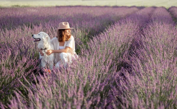 Newsletter_HolidayIdea_FR6.jpg