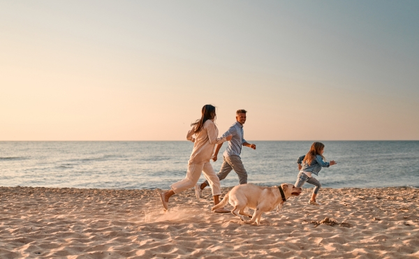 Newsletter_HolidayIdea_IT7.jpg