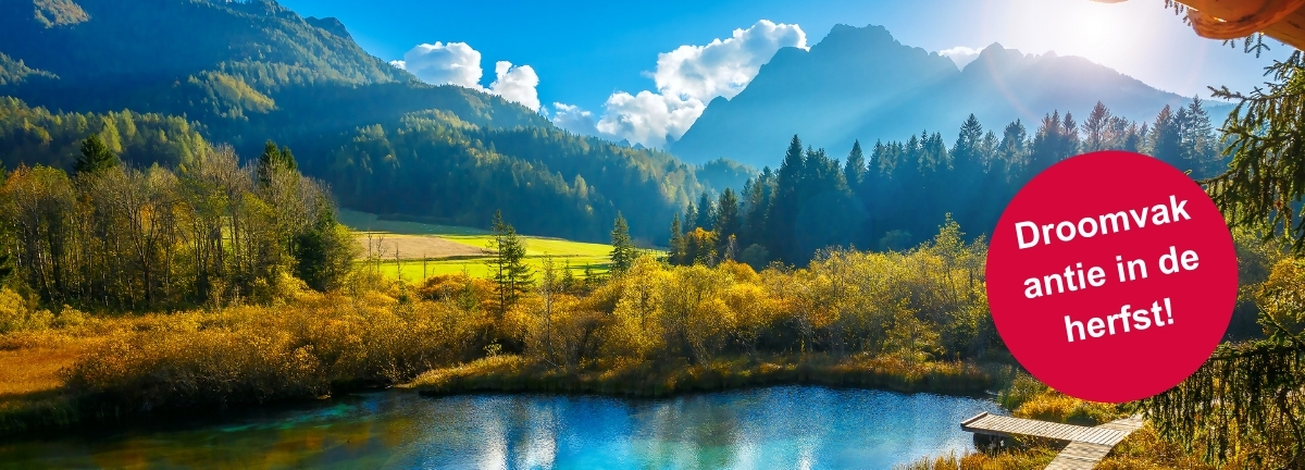 IH_Newsletter_Headerbild_NL2.jpg