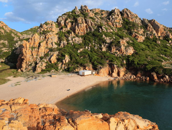 Newsletter%20Image%20-%2033_33_33%20-%20Beach6.png