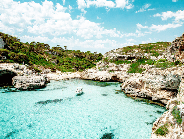 Newsletter%20Image%20-%2033_33_33%20-%20Island5.png