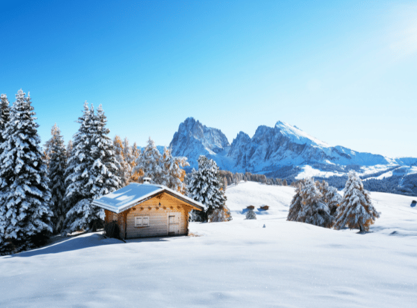 Newsletter%20Image%20-%2050_50%20-%20Winter5.png