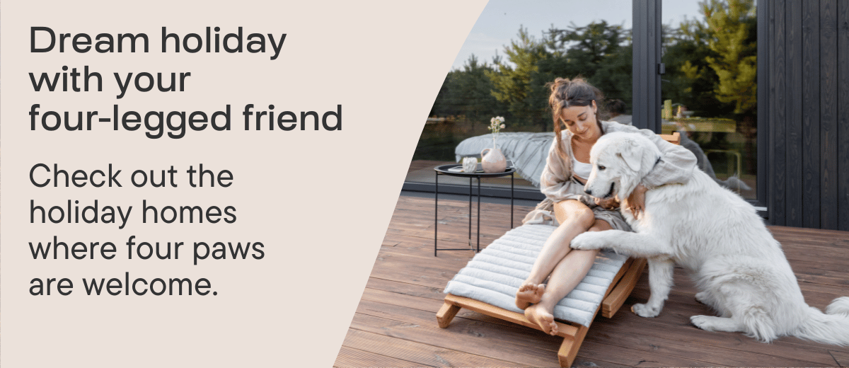 Newsletter%20Banner%20Pets_GB2.png