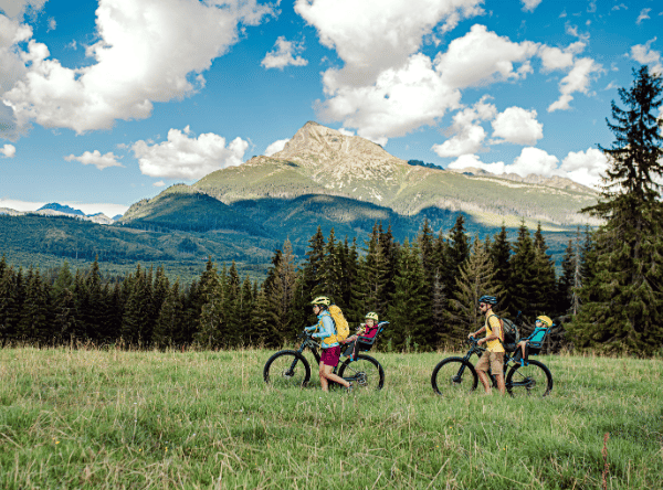 Two cyclists in an alpine landscape – Secure your biking holiday today